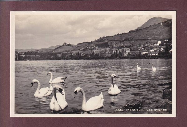 MONTREUX - Les Cygnes