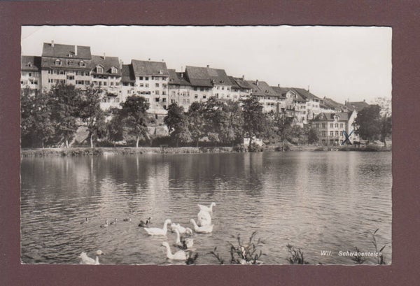 WIL - Schwanenteich // Eckbug //