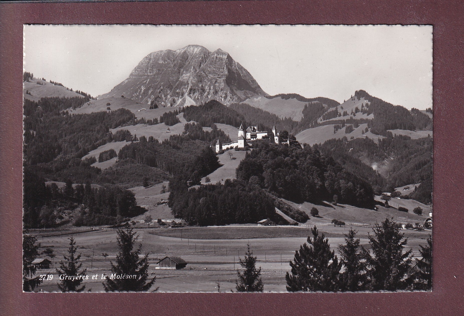 GRUYERES - Château et Moléson