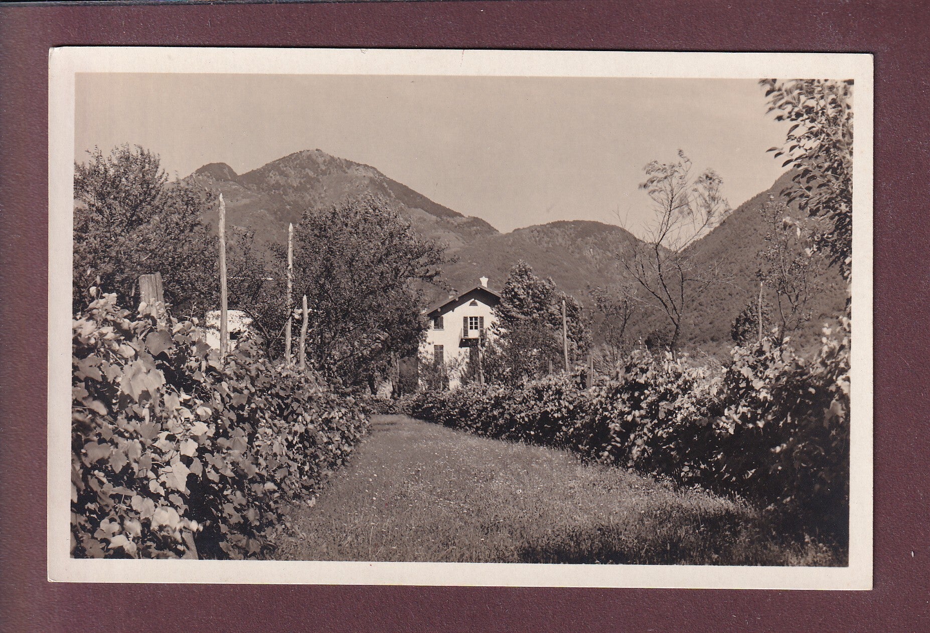 PENSION SONNENHOF bei Ascona