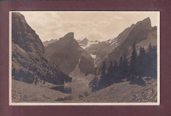 SEEALPSEE