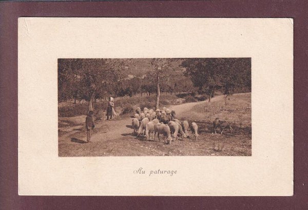 Au paturage - MOUTONS