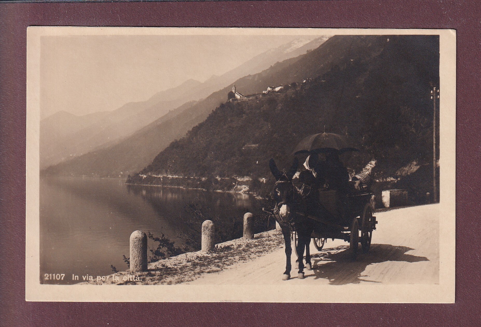 In via per la citta - CARROZZA
