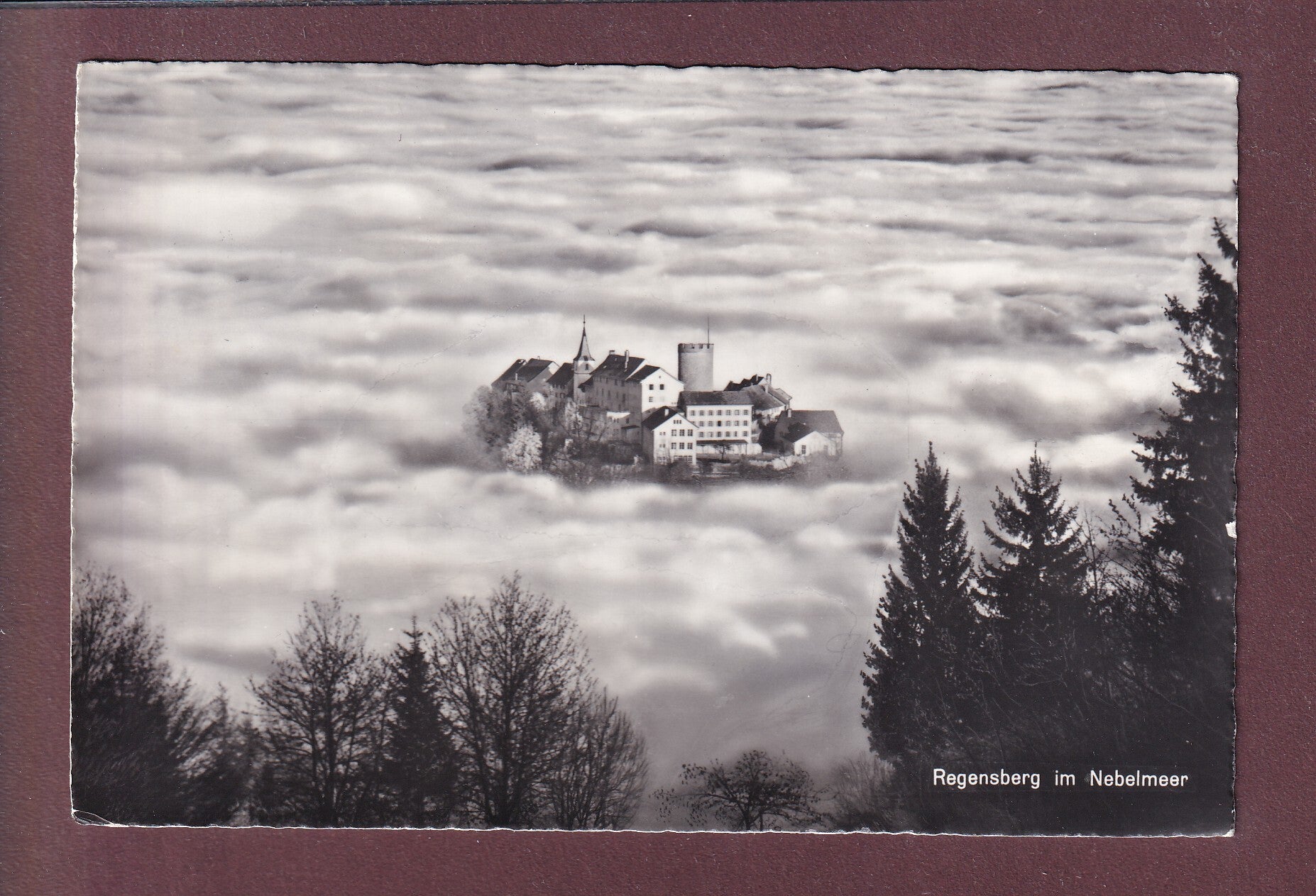 REGENSBERG im Nebelmeer