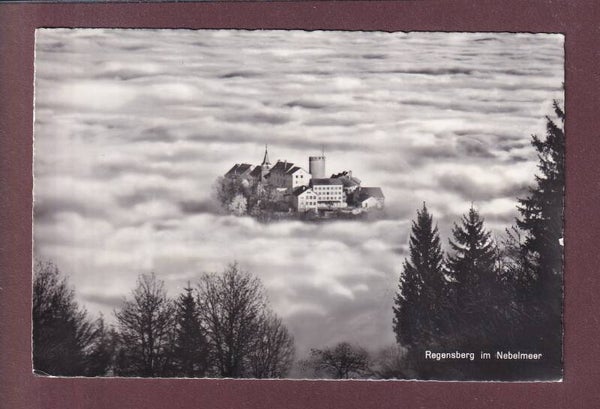 REGENSBERG im Nebelmeer