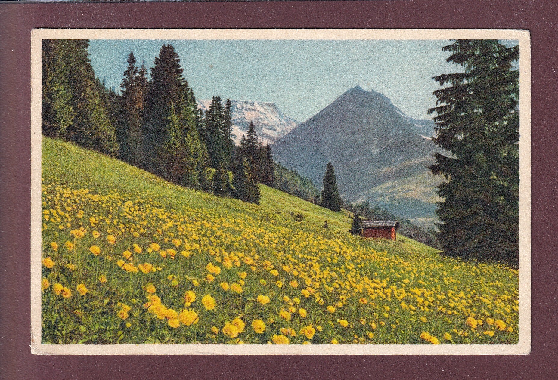 Frühlingslandschaft bei ADELBODEN