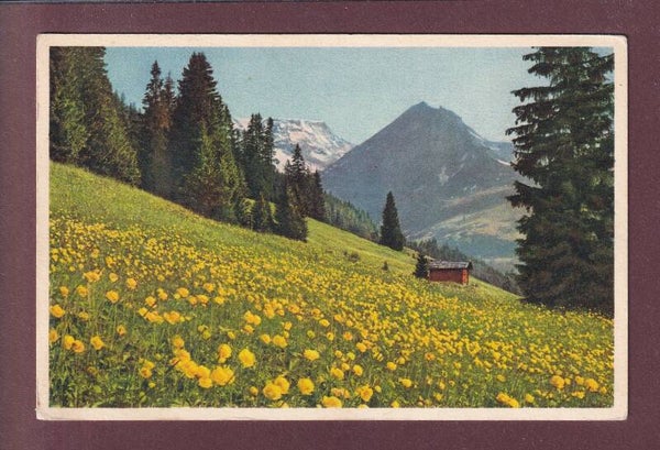 Frühlingslandschaft bei ADELBODEN