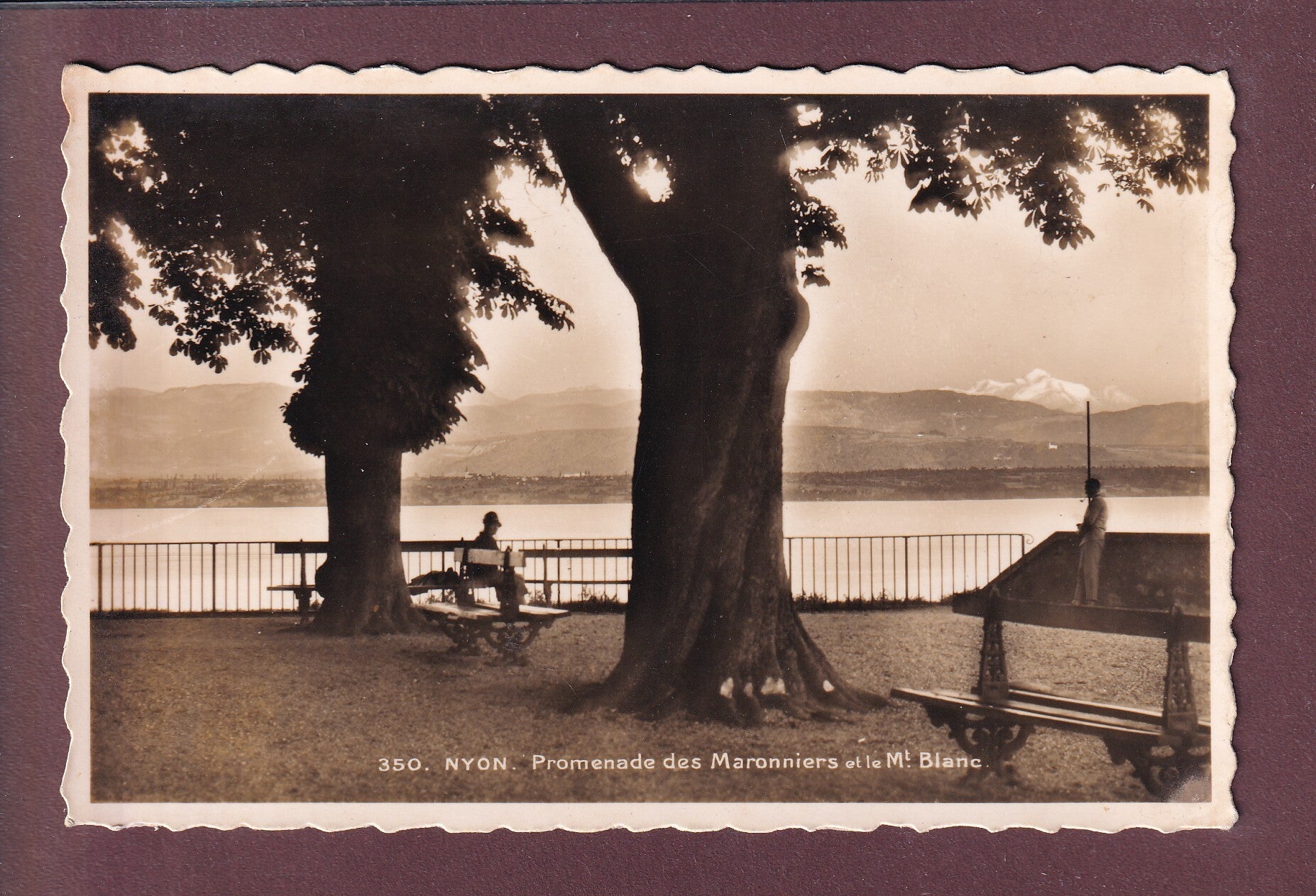 NYON - Promenade des Maronniers - Mont-Blanc