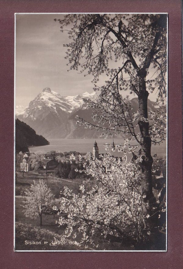 SISIKON - Frühling - Urirotstock