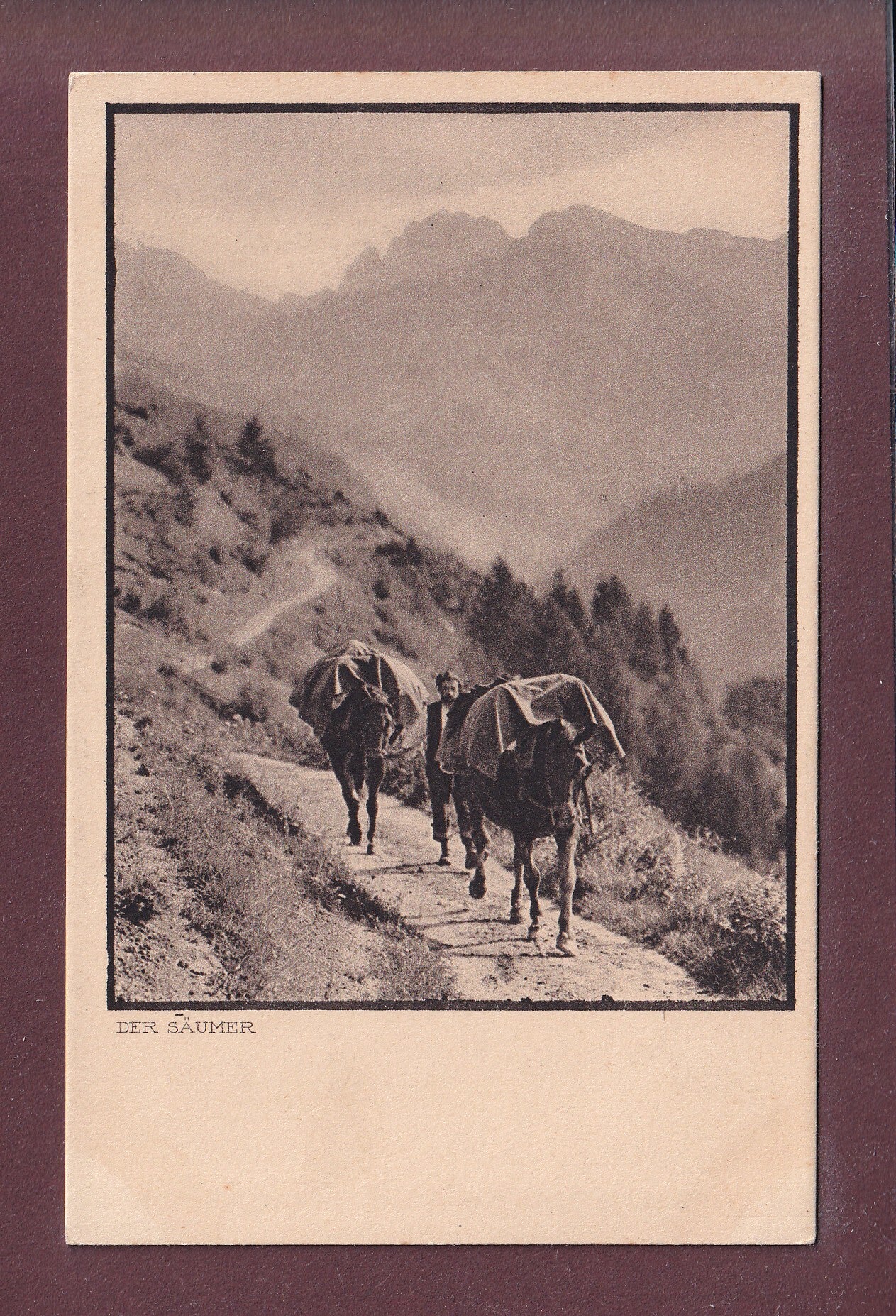 GRAUBÜNDEN - Der Säumer