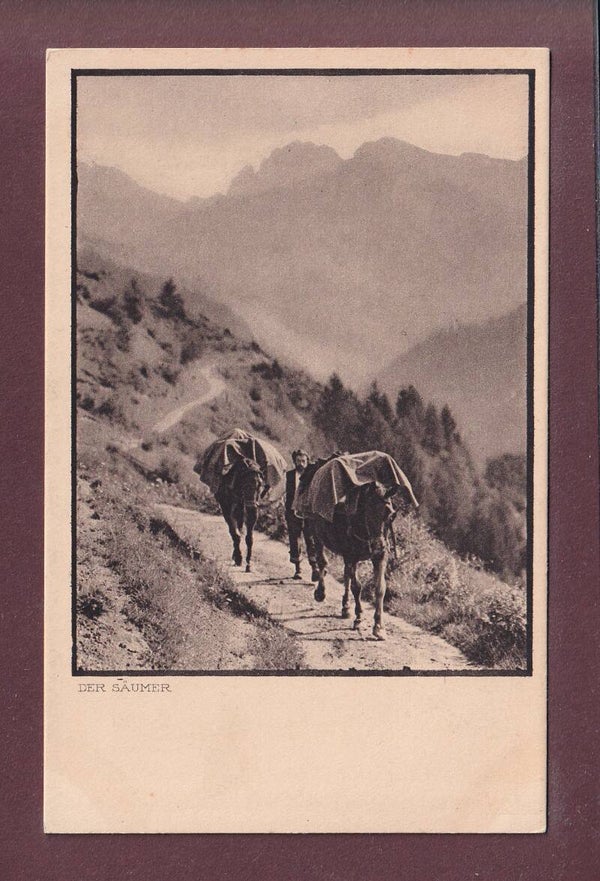 GRAUBÜNDEN - Der Säumer
