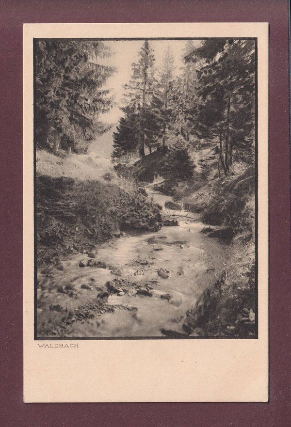 GRAUBÜNDEN - Waldbach