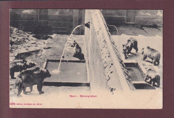 BERN - Bärengraben - 1905 //abgelöste Schichten //