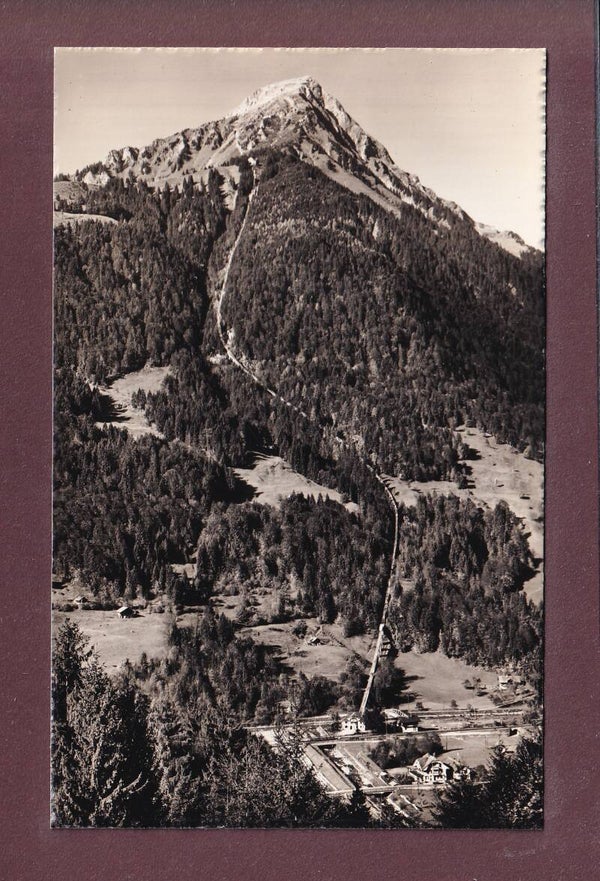 NIESENBAHN - Talstation und Kulm