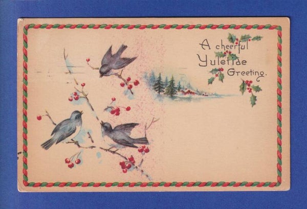 CHRISTMAS - Birds - Holly - 1920