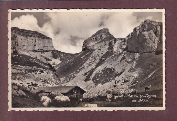 MAYEN sur Leysin - 1949