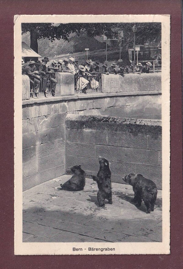 BERN - Bärengraben - 1916