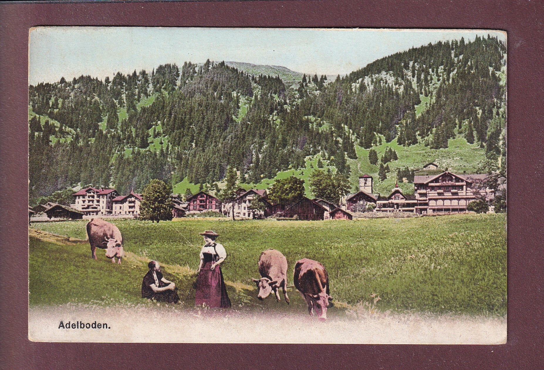 ADELBODEN - Kühe
