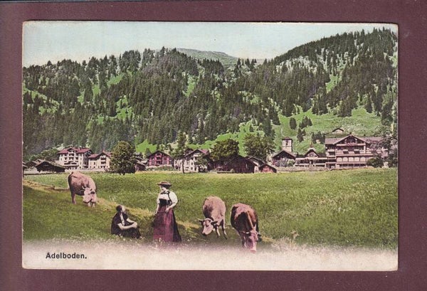 ADELBODEN - Kühe