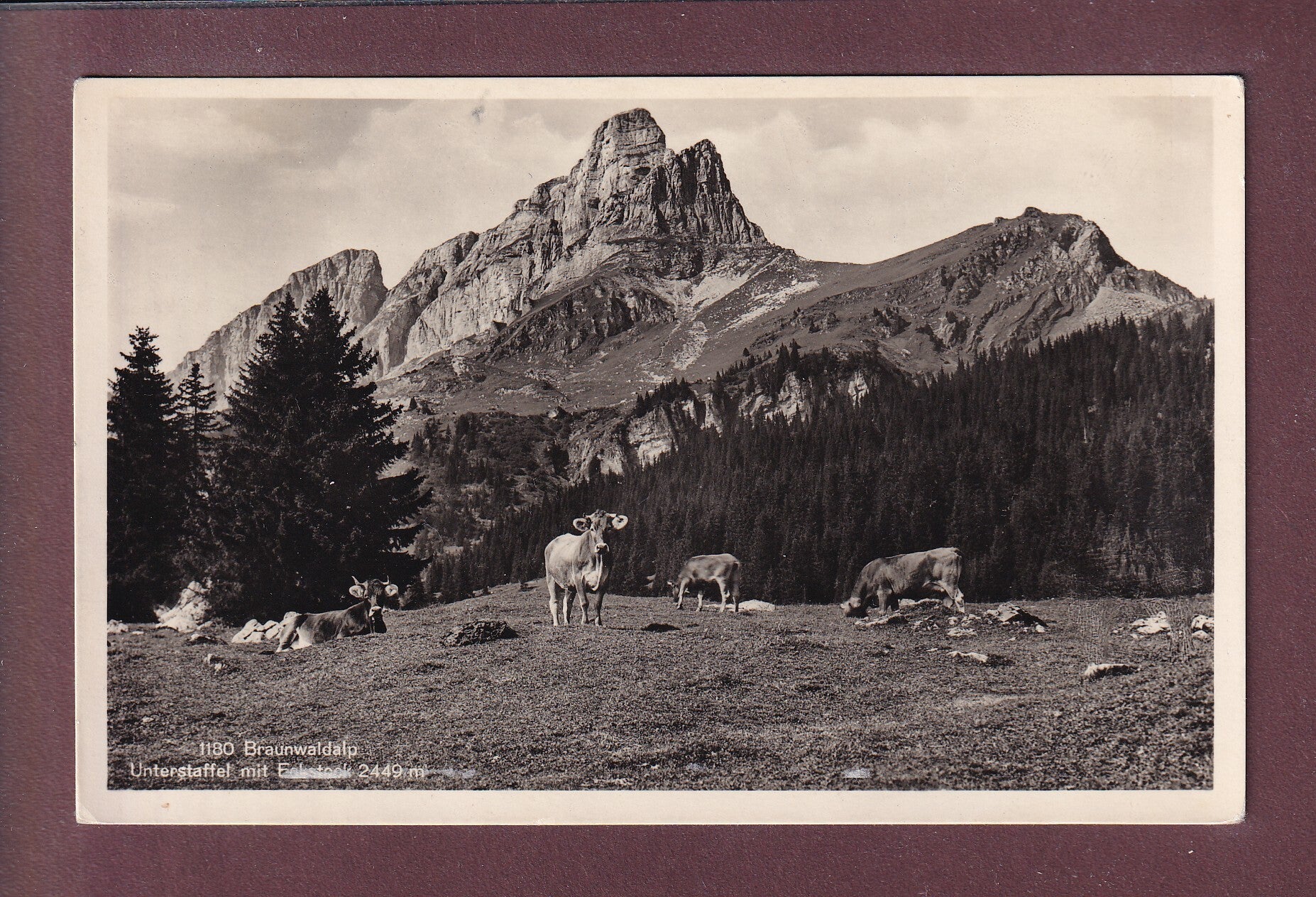 BRAUNWALD-ALP - Unterstaffel - Kühe - 1934