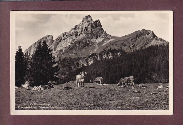 BRAUNWALD-ALP - Unterstaffel - Kühe - 1934