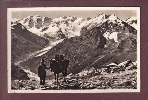 OBERER SCHAFBERG - Berninagruppe - Pferd - 1959