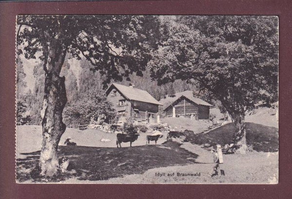 Idyll auf BRAUNWALD - Kühe - 1908