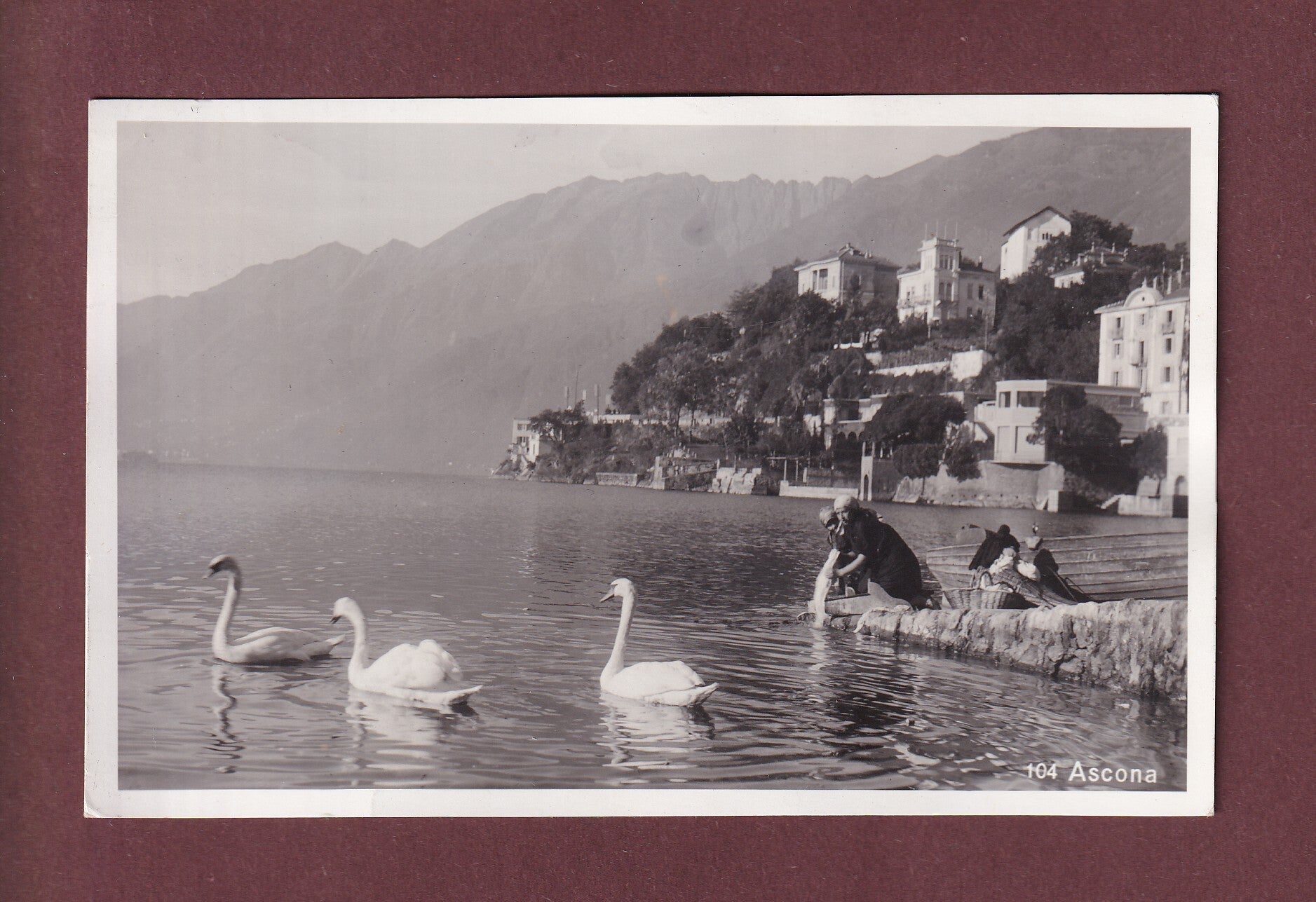 ASCONA - Lavanderia - Cigni - 1933