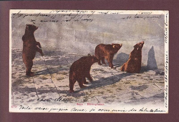 BERN - Bärengraben - 1903