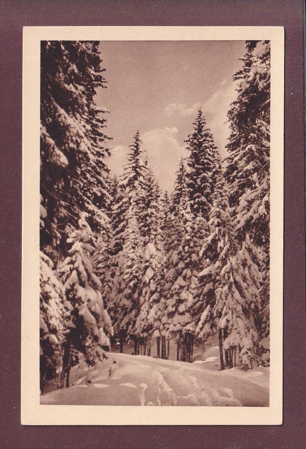 CASOJA - Valbella - Ob Chur