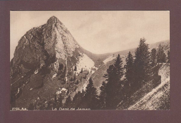 DENT DE JAMAN