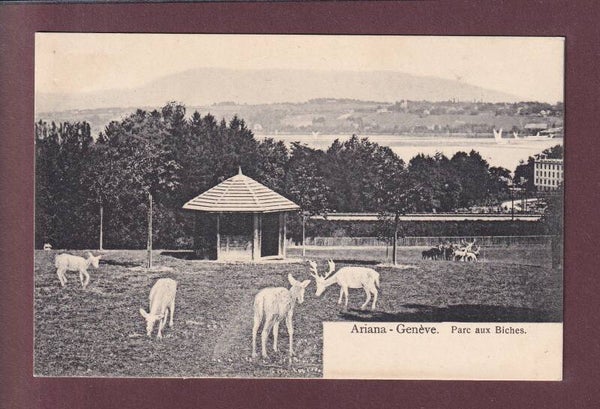 GENEVE - Ariana - Parc aux biches