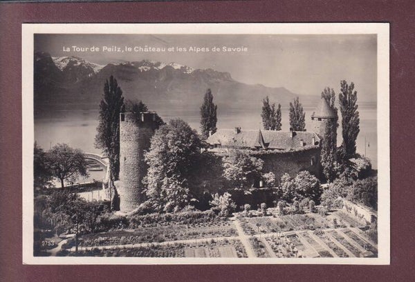 LA TOUR-DE-PEILZ - Château