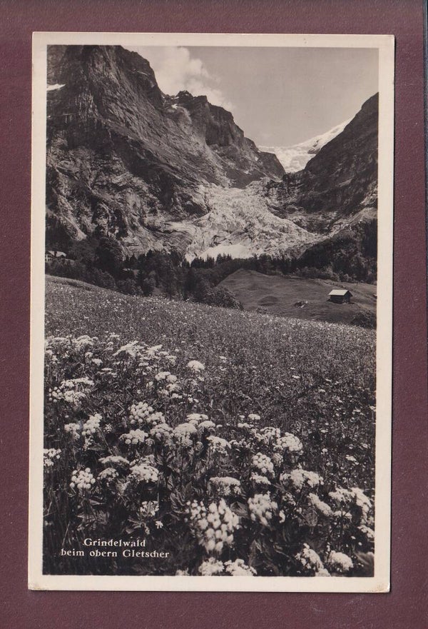 GRINDELWALD - Beim obern Gletscher