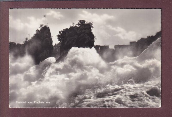 RHEINFALL vom Fischnetz aus