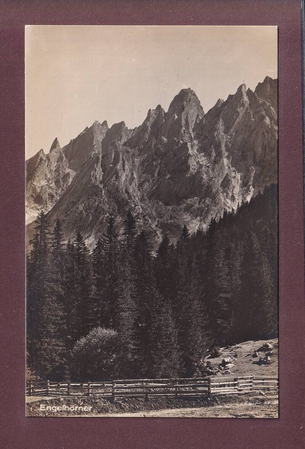 ENGELHÖRNER
