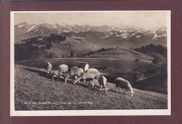 Blick vom BACHTEL-KULM - Schafherde - 1927 Feldpost