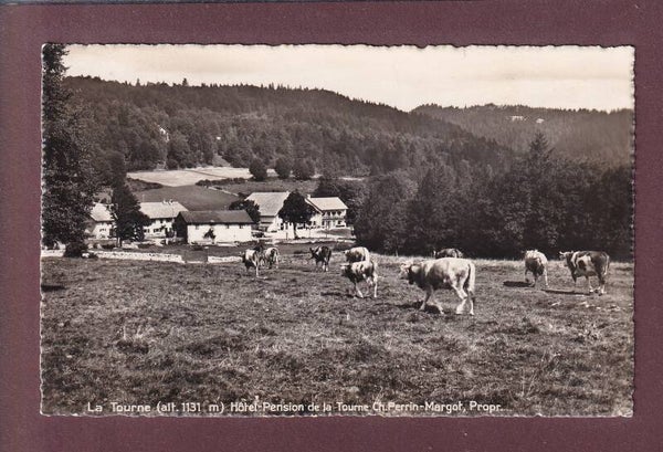 Hôtel-Pension de LA TOURNE - Vaches - 1951