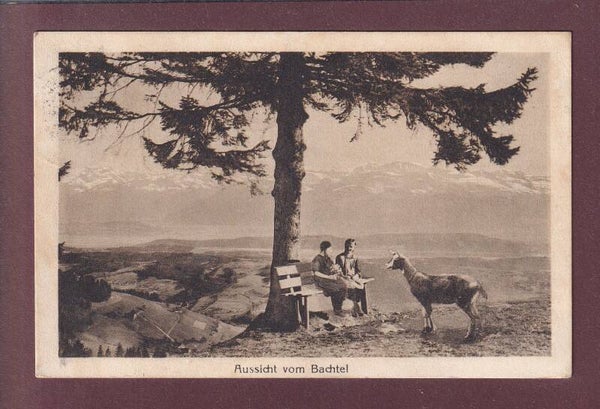 Aussicht vom BACHTEL - Ziege - Kinder - 1922