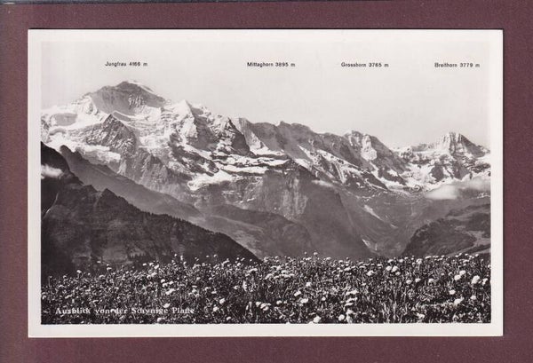 JUNGFRAU-KETTE