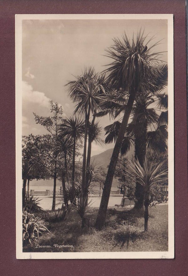 LOCARNO - Vegetation