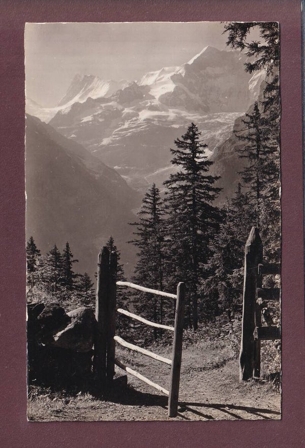 Grindelwald - Weg nach BUSSALP