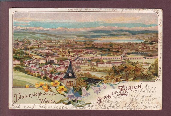 Gruss aus ZÜRICH Totalansicht von der Waid 1904 // Falte //
