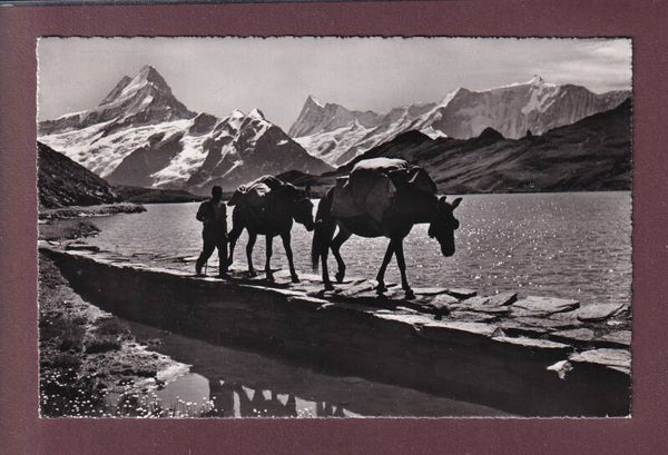 BACHALPSEE - Faulhornpost - 1954
