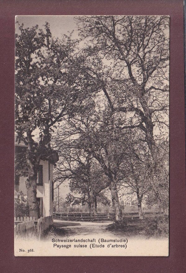 PAYSAGE SUISSE - Etude d'arbres - 1911