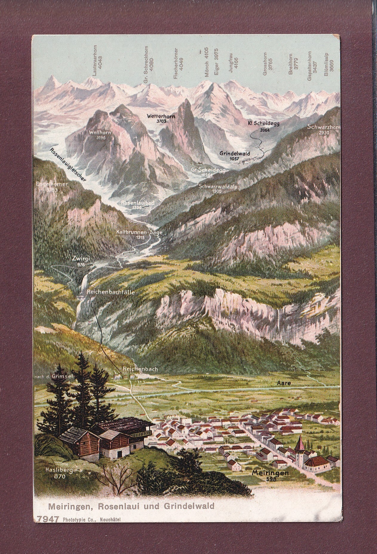 MEIRINGEN und Umgebung - Vogelschau