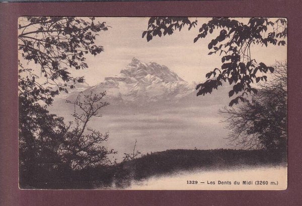 DENTS DU MIDI - 1919