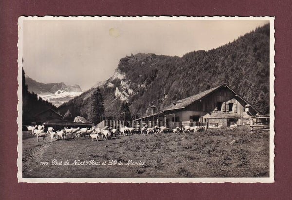 PONT DE NANT - Dents de Morcles - Chèvres - 1949