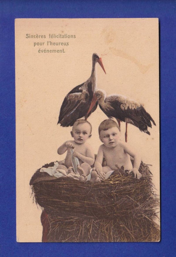 ENFANT - Enfants dans nid de cigogne