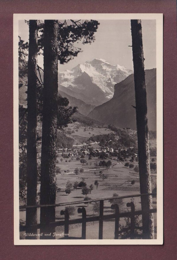WILDERSWIL - Jungfrau